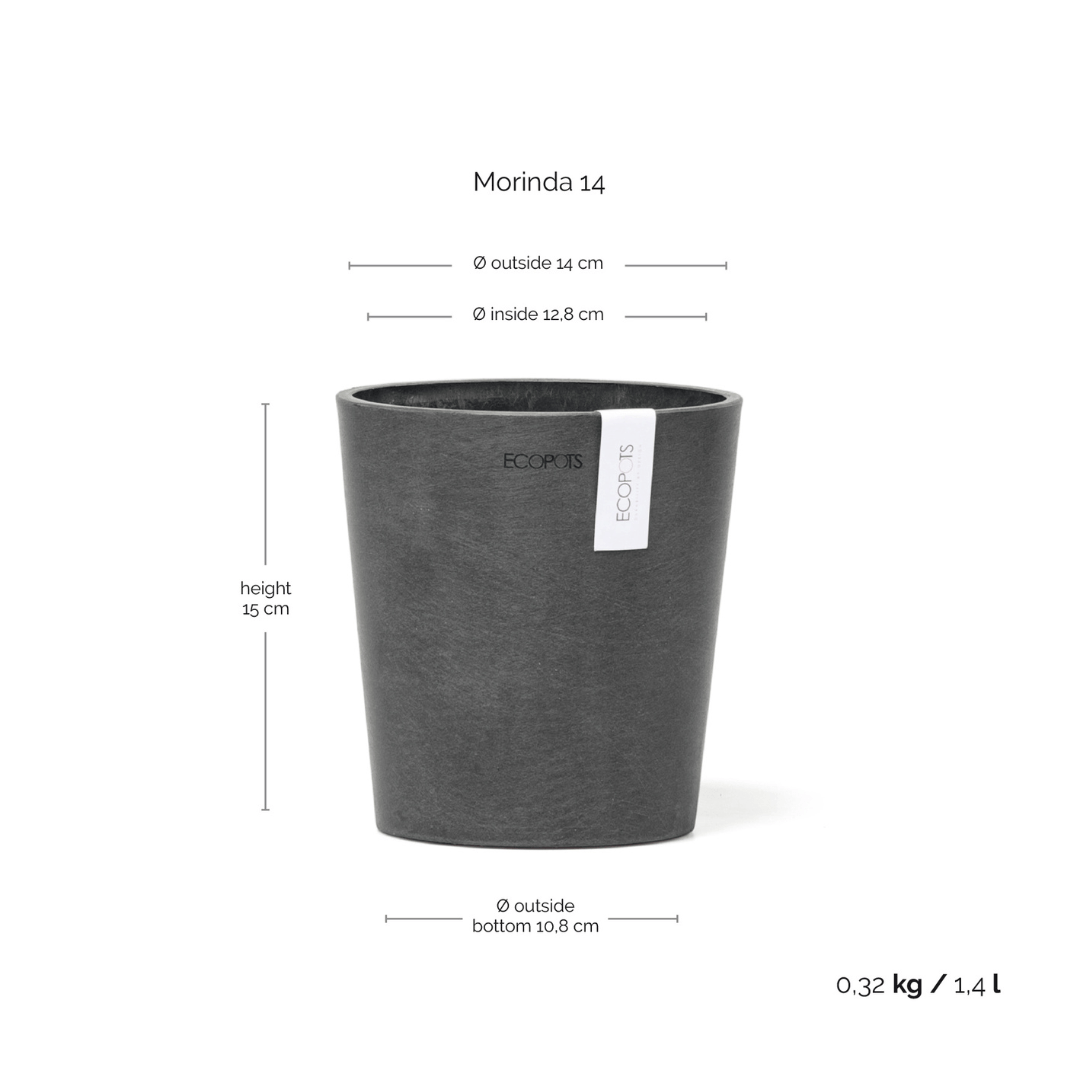 Ecopots Morinda Orchid Pot