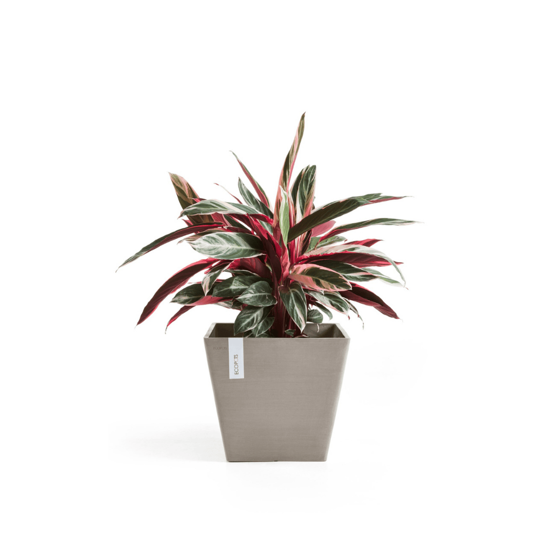 Ecopots Rotterdam Taupe