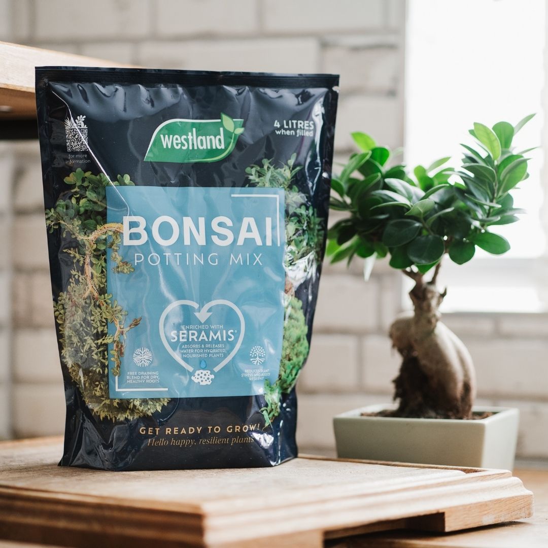 Westland Bonsai Potting Mix 4 Litres