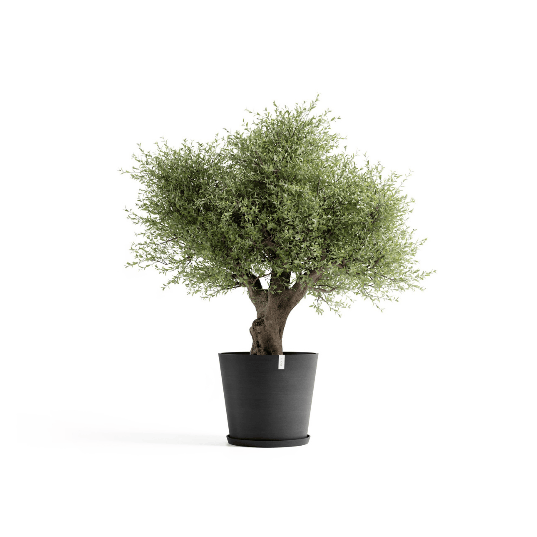 Ecopots Amsterdam Dark Grey