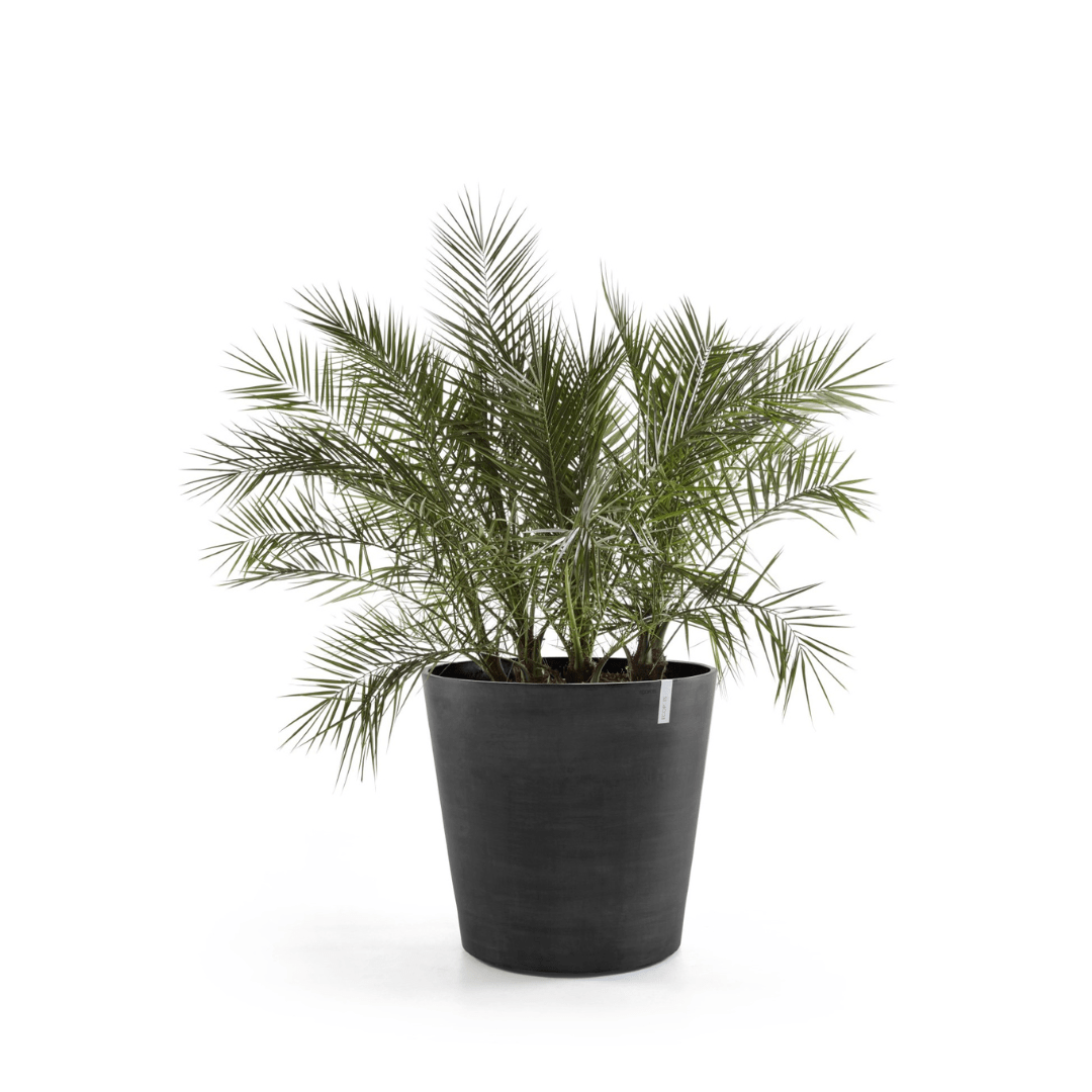 Ecopots Amsterdam Wheels Dark Grey