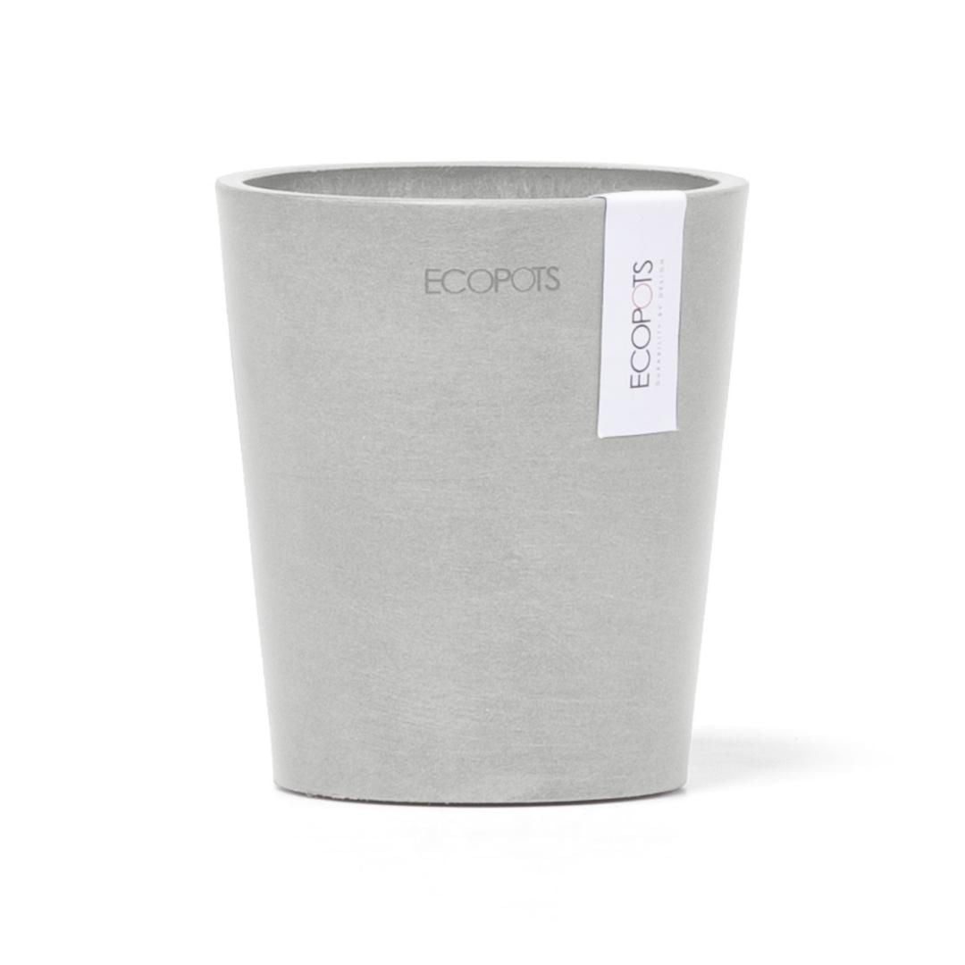 Ecopots Morinda Orchid Pot