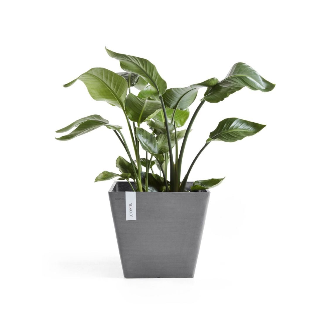 Ecopots Rotterdam Grey
