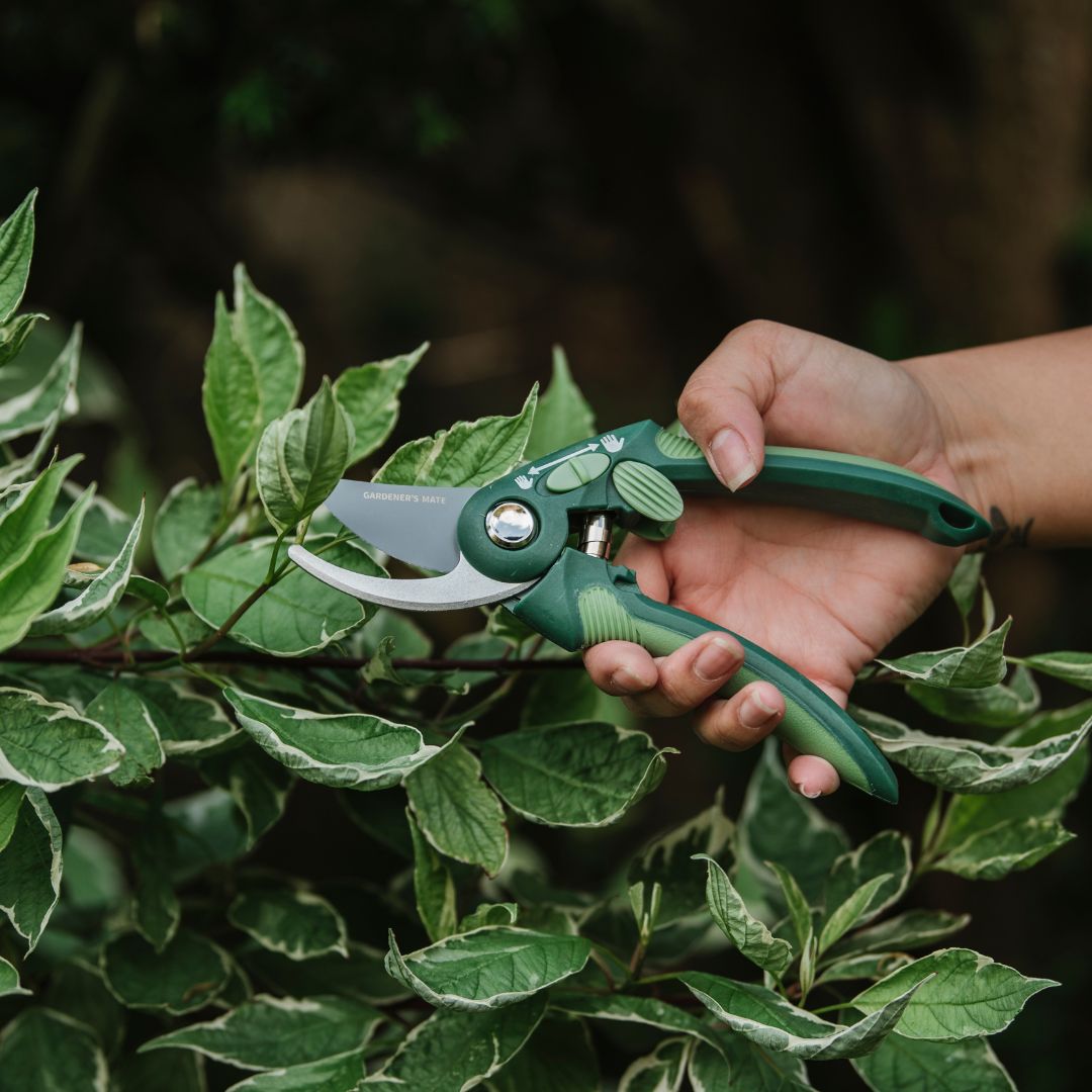 Gardener's Mate Bypass Secateurs