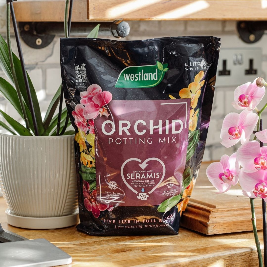 Westland Orchid Potting Mix